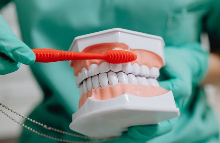imagen de una dentura falsa siendo cepillada para evitar las caries
