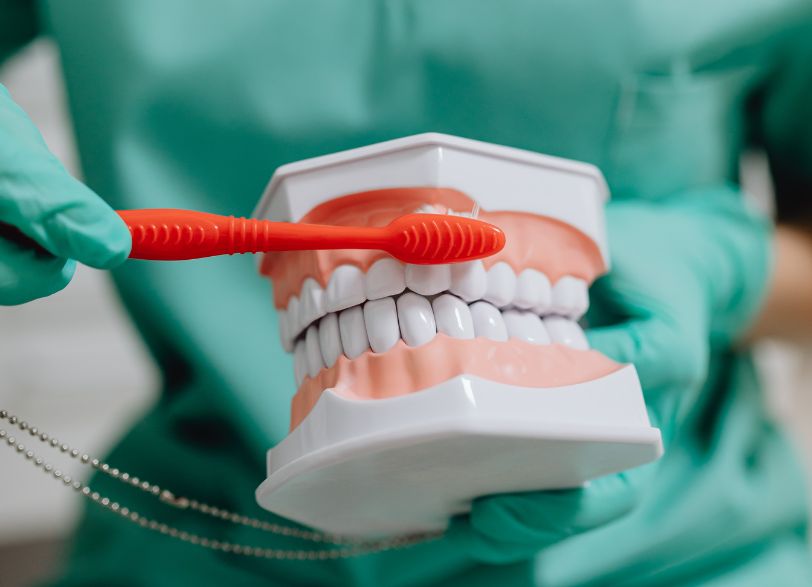 imagen de una dentura falsa siendo cepillada para evitar las caries