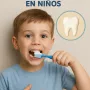 Las 3 Capas de los Dientes: Guía Completa de Anatomía Dental para 2026 18