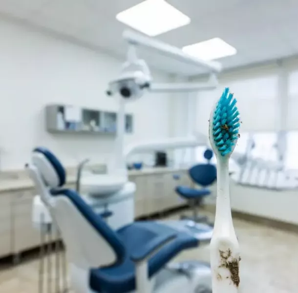 Las 3 Capas de los Dientes: Guía Completa de Anatomía Dental para 2026 39